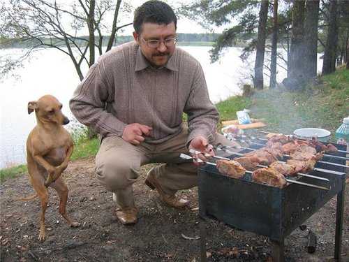 Template meme Dobby thanks master for the BBQ