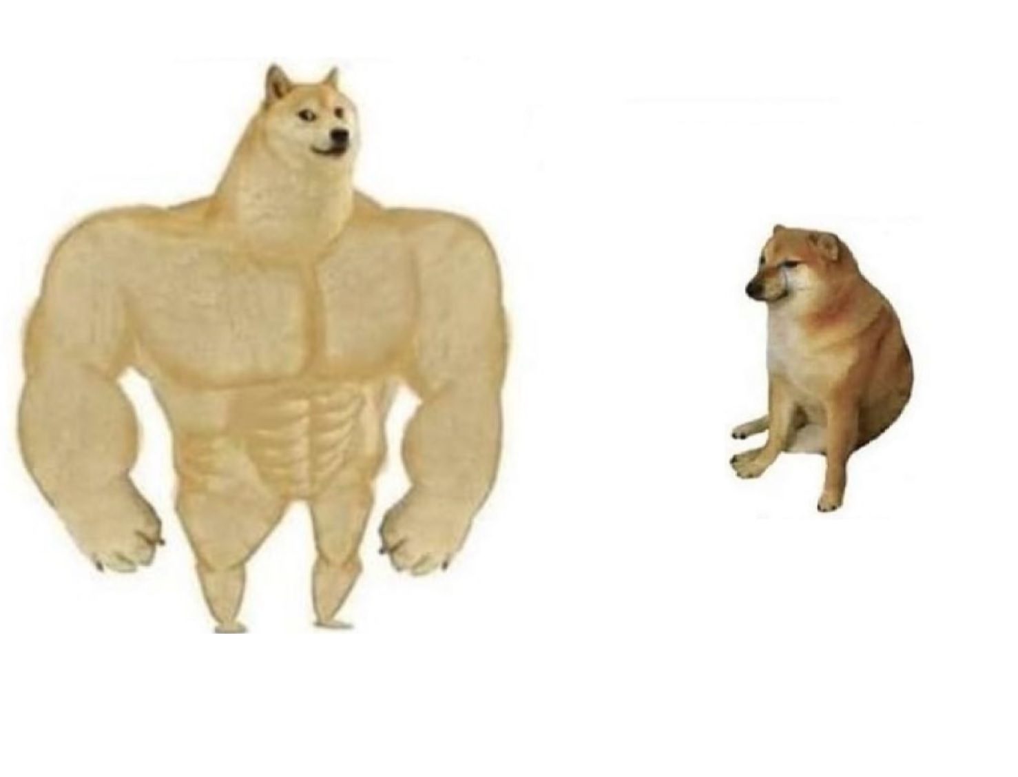Dog comparison meme template