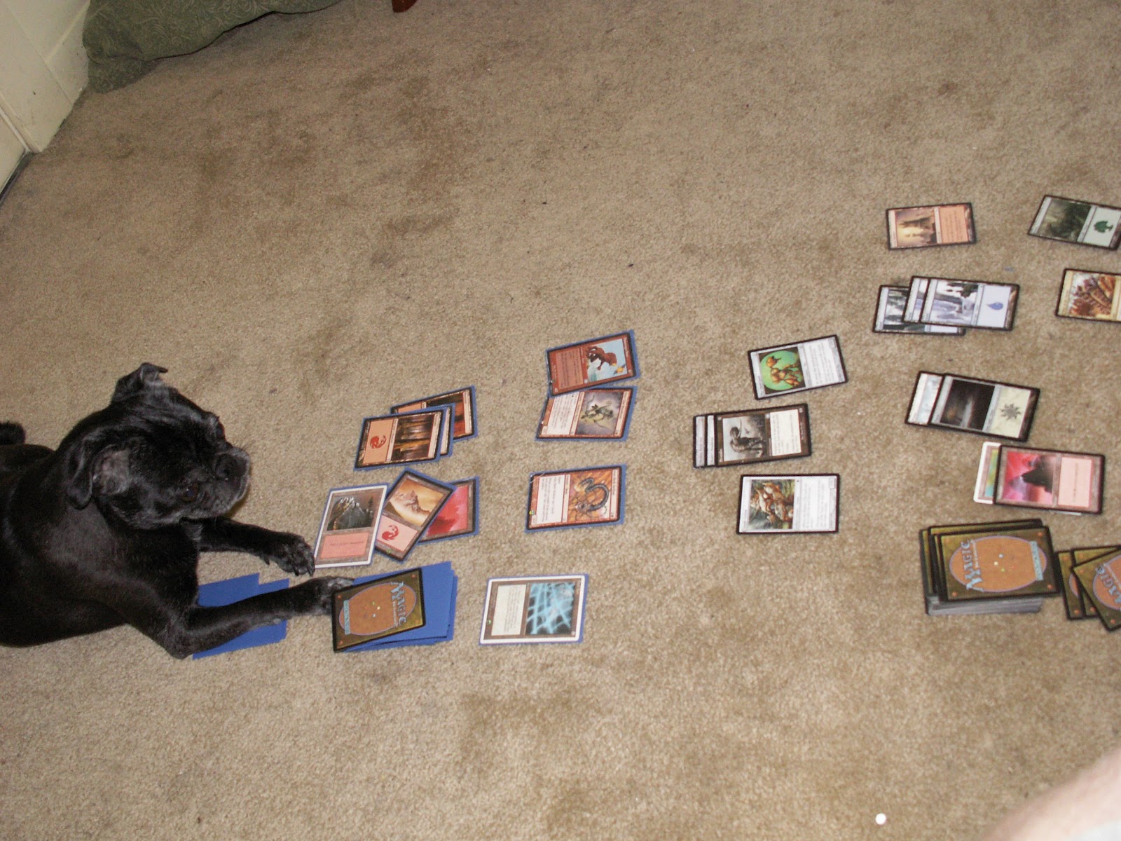 Template meme dog magic the gathering