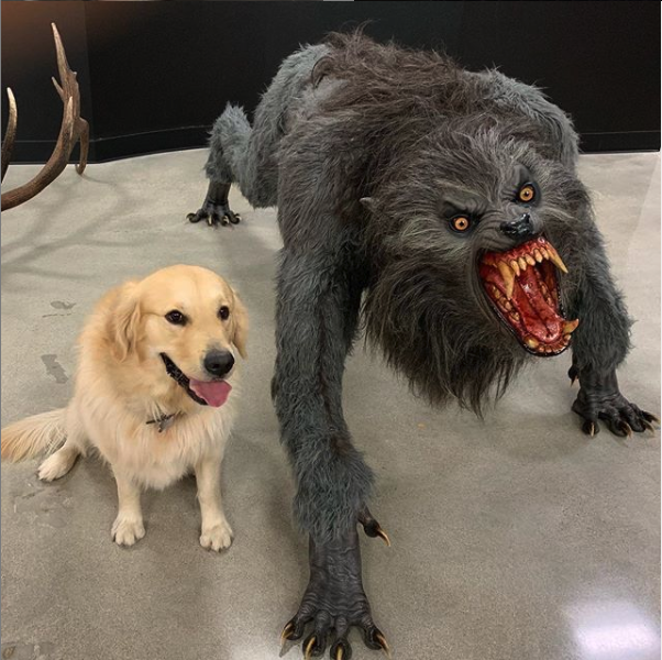 Plantilla de meme dog vs werewolf