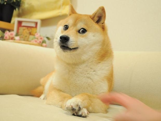 Plantilla de meme Doge 2