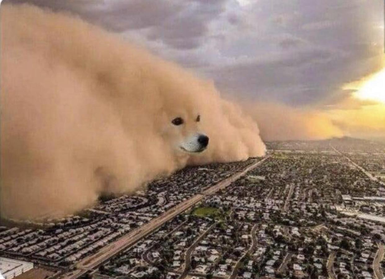 Plantilla de meme Doge Cloud