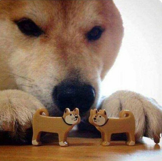 Plantilla de meme Doge dog playing with toy dogs