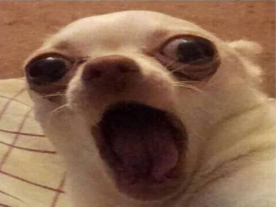 Plantilla de meme DOGE DOGE DOGE DOGE