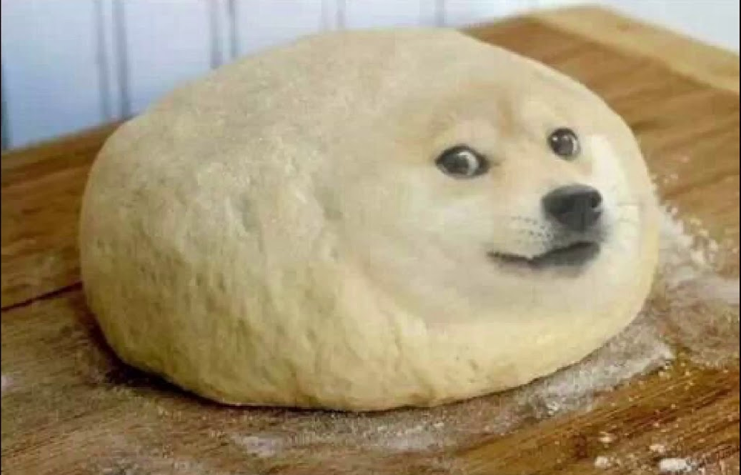 Plantilla de meme DOGE DUMPLING