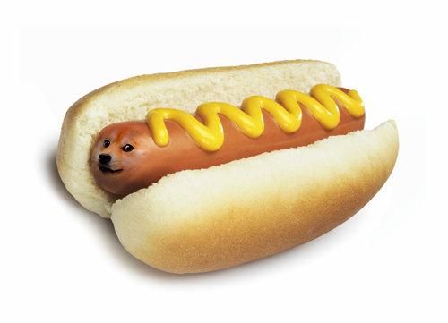 Plantilla de meme doge hot doge