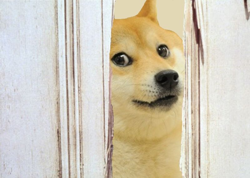 Template meme Doge The Shining Here's Johnny