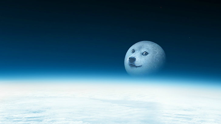 Template meme doge to the moon
