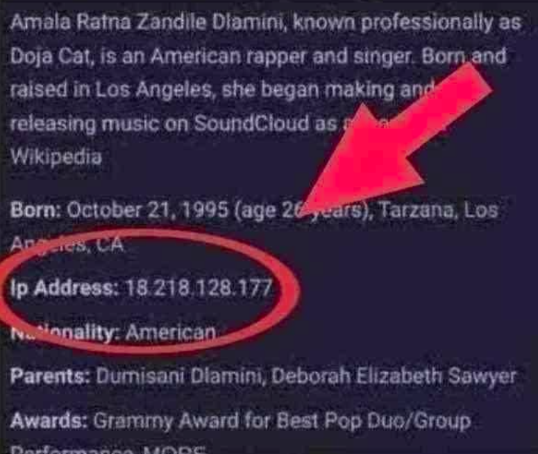 Plantilla de meme doja cat ip address?!