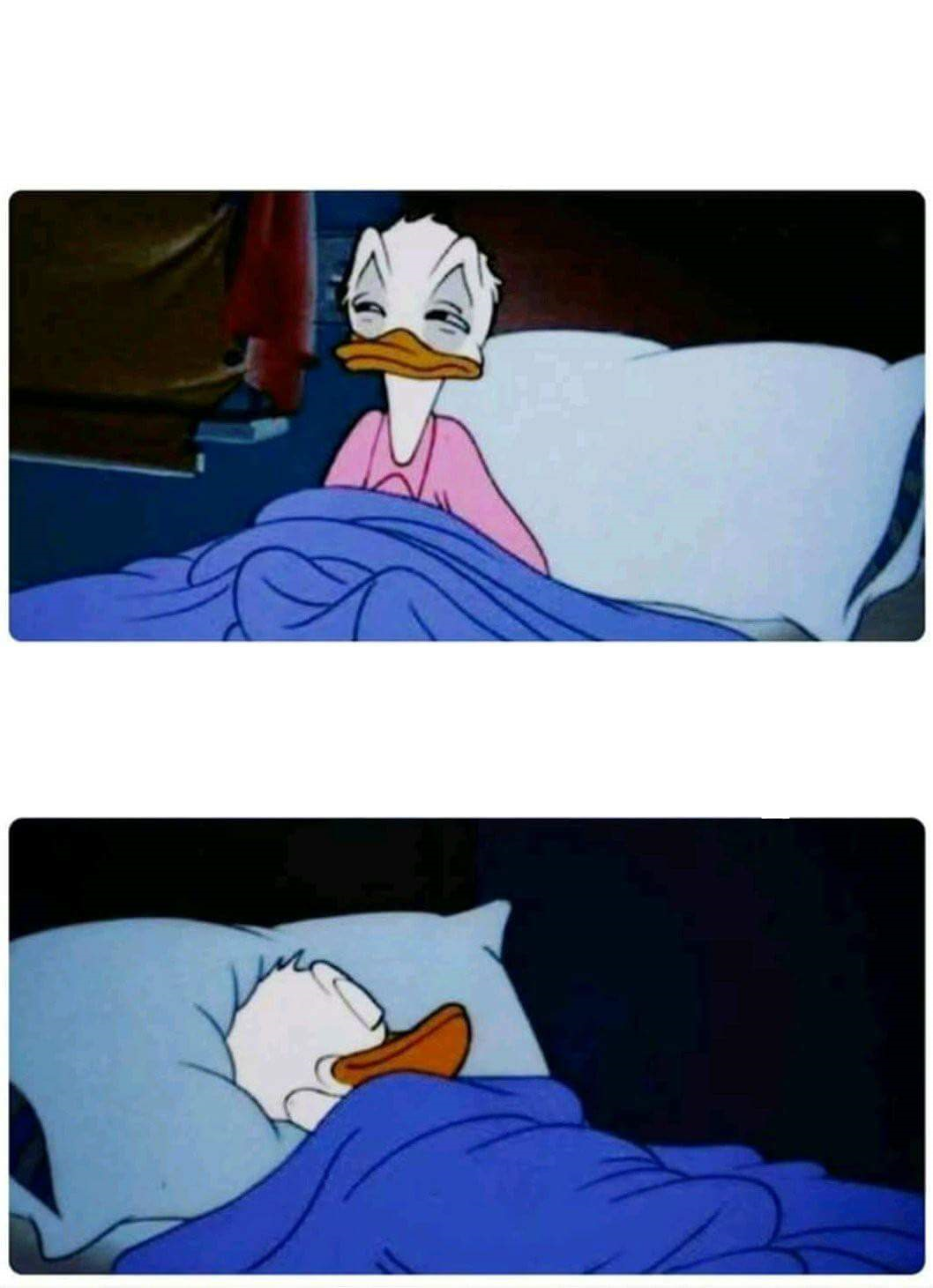 Template meme Donald Duck Sleeping