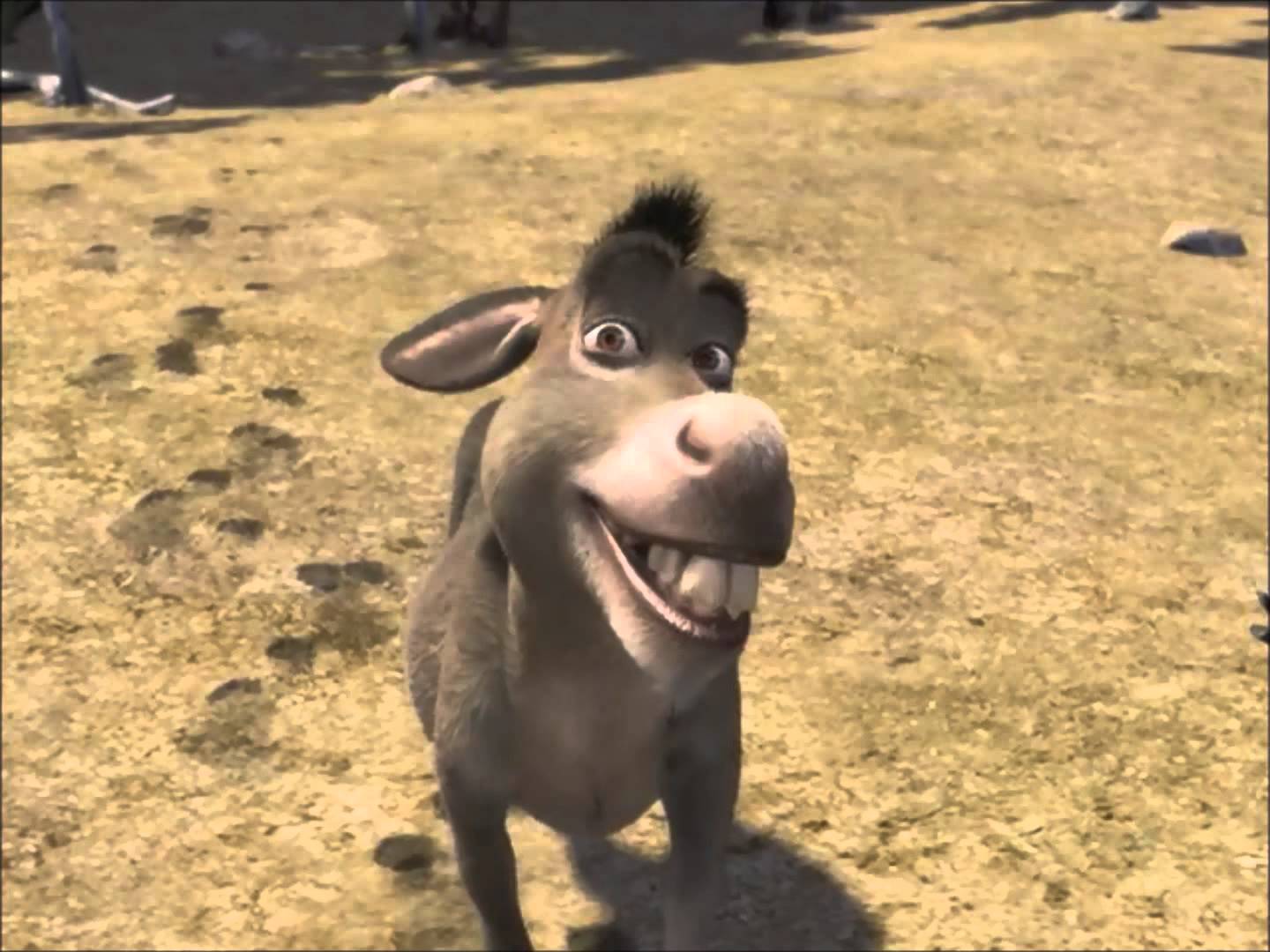 Plantilla de meme Donkey Shrek