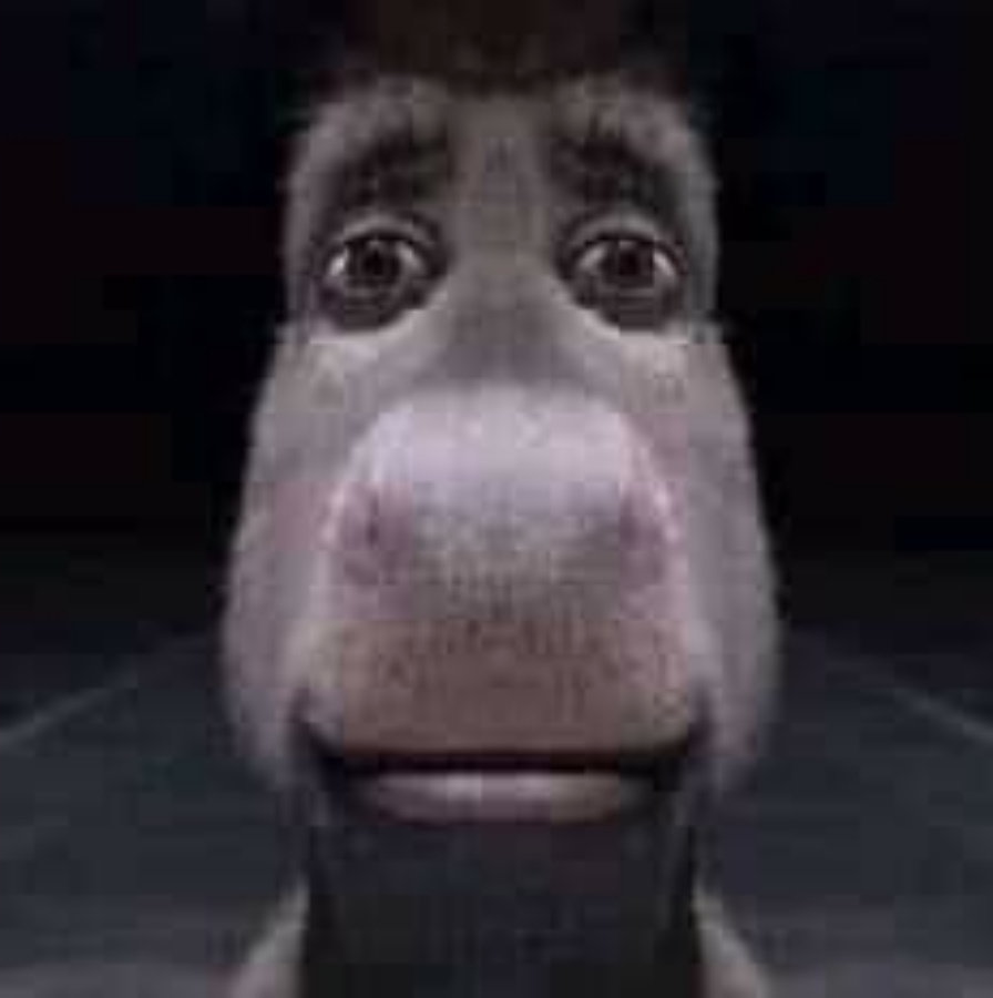 Plantilla de meme Donkey staring