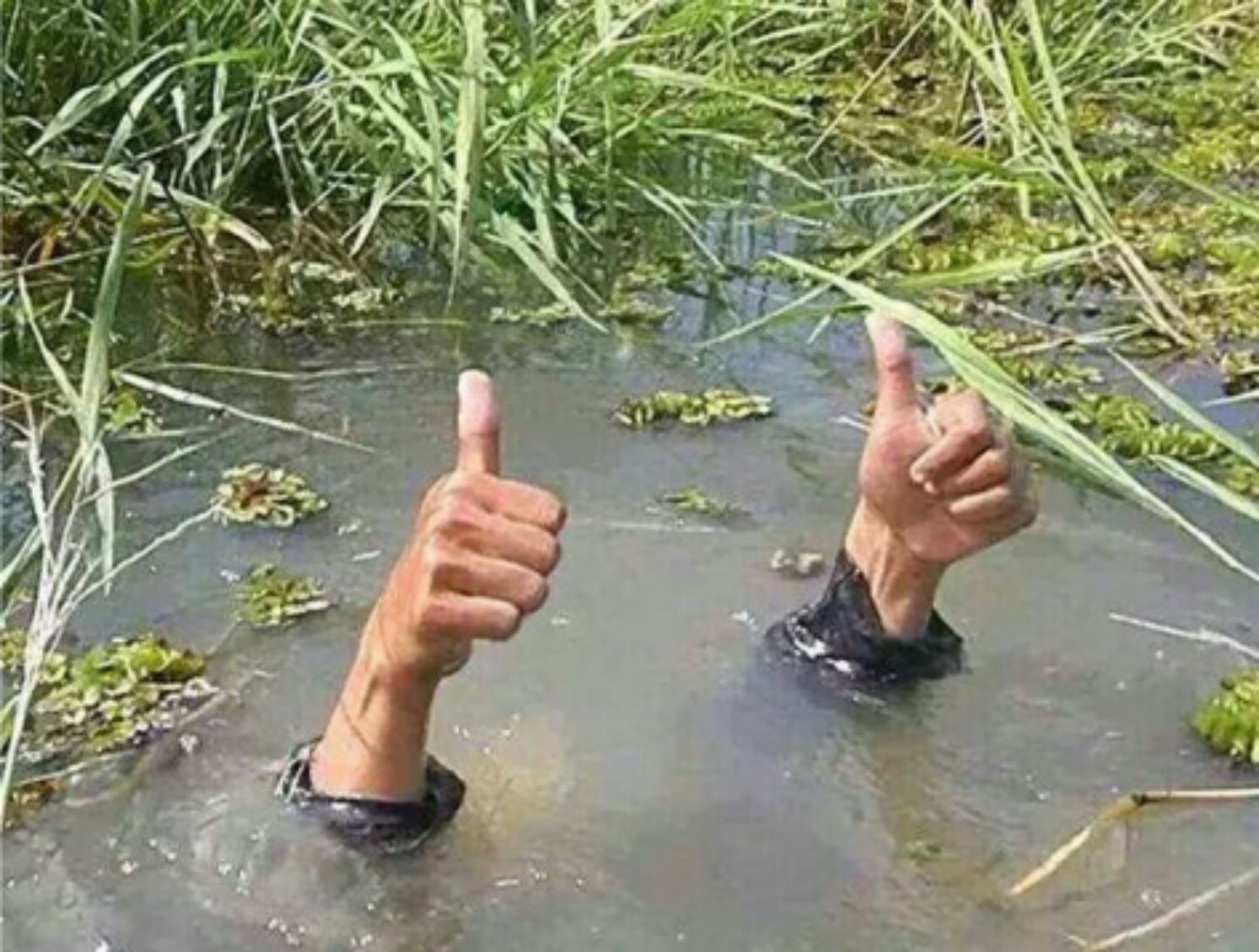 Plantilla de meme Drowning Thumbs Up