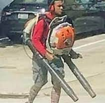 Plantilla de meme Dual Leaf Blower