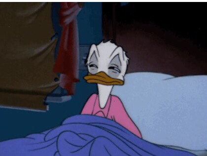 Plantilla de meme Duck meme