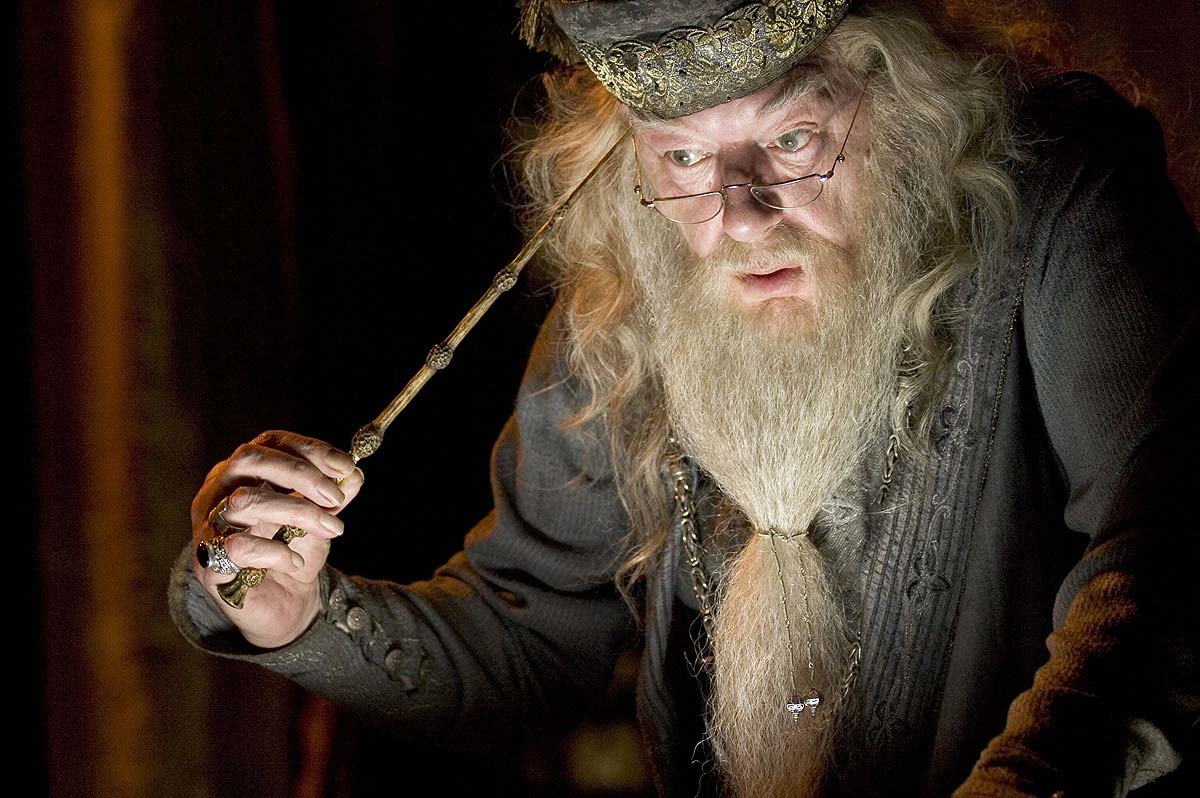 Plantilla de meme Dumbledore Wisdom
