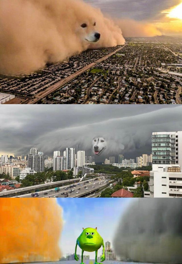 Template meme Dust doge storms and Mikey caught in the middle