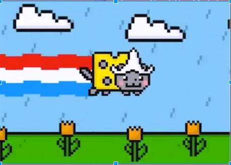 Template meme dutch nyan cat