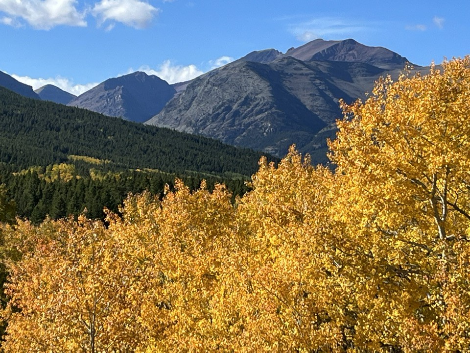 Plantilla de meme East Glacier Aspens