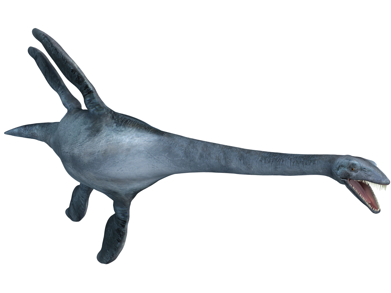 Template meme Elasmosaurus