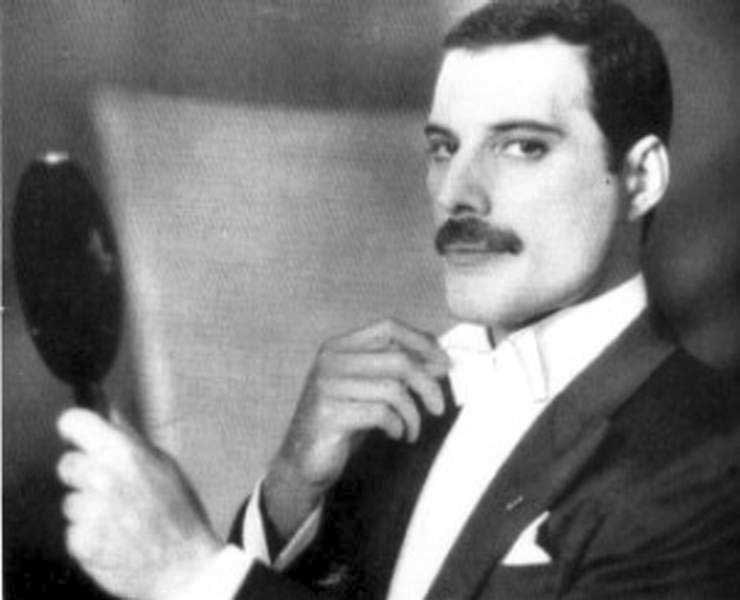 Template meme Elegant Freddie Mercury