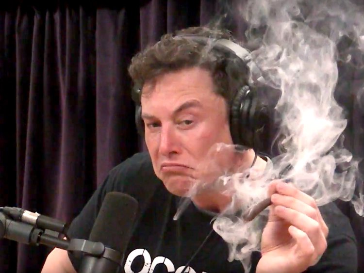 Template meme Elon Musk Weed