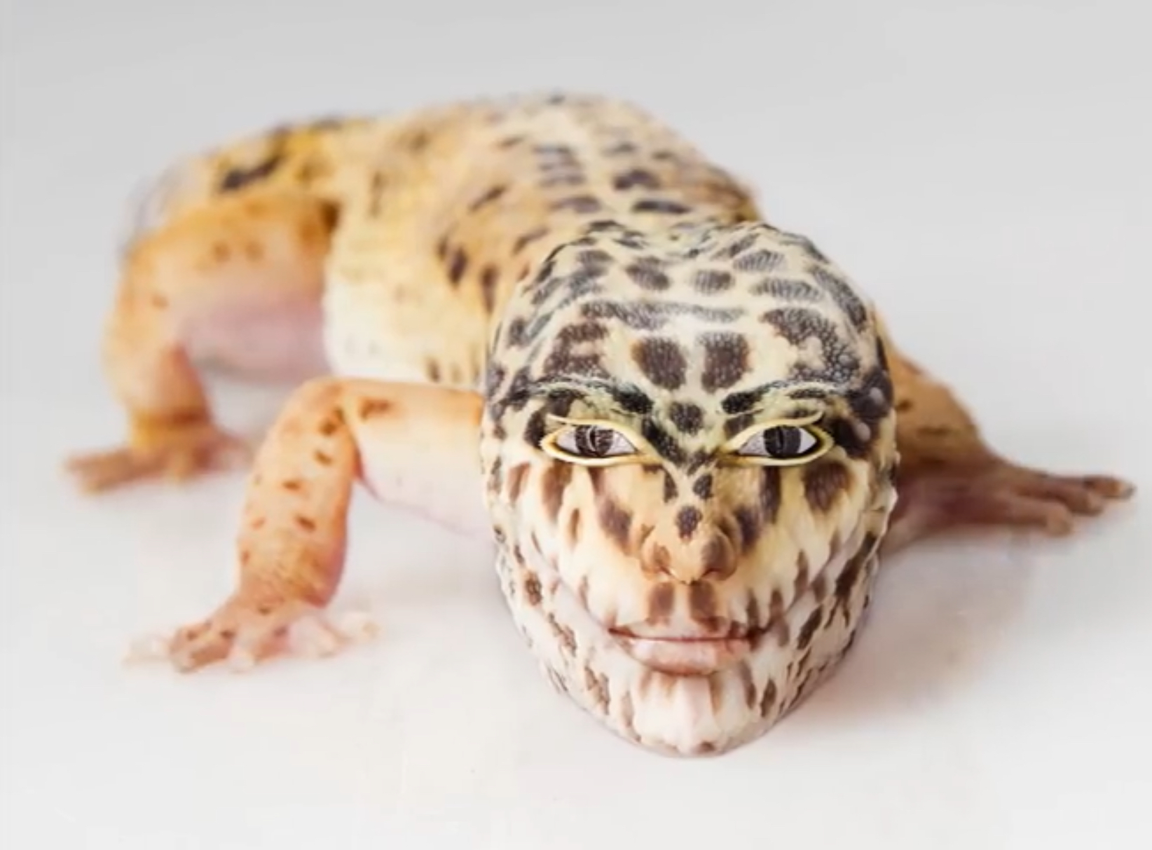 Plantilla de meme Fancy Lizard
