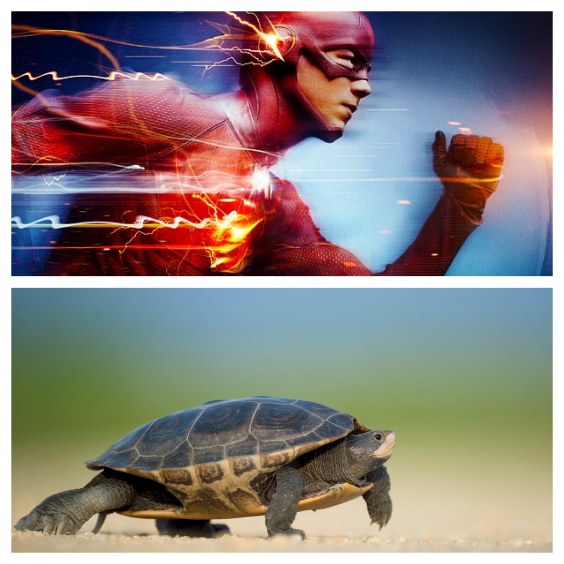 Plantilla de meme Fast vs. Slow