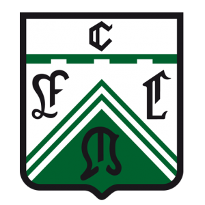 Plantilla de meme FERRO