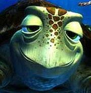 Plantilla de meme Finding Nemo turtle