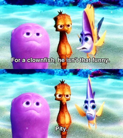 For a clownfish meme template