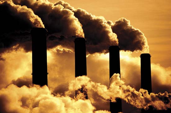 fossil fuel meme template