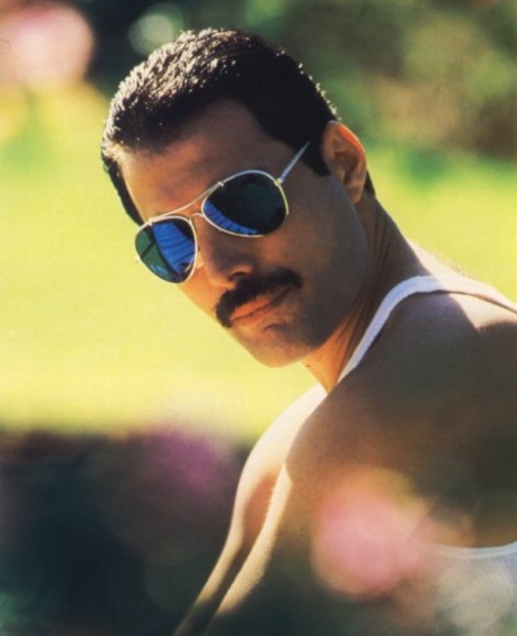 Template meme Freddie Mercury Mr. Bad Guy