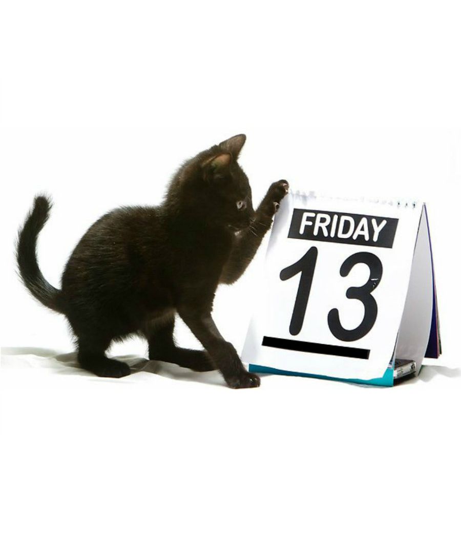 Plantilla de meme Friday 13th Kitten