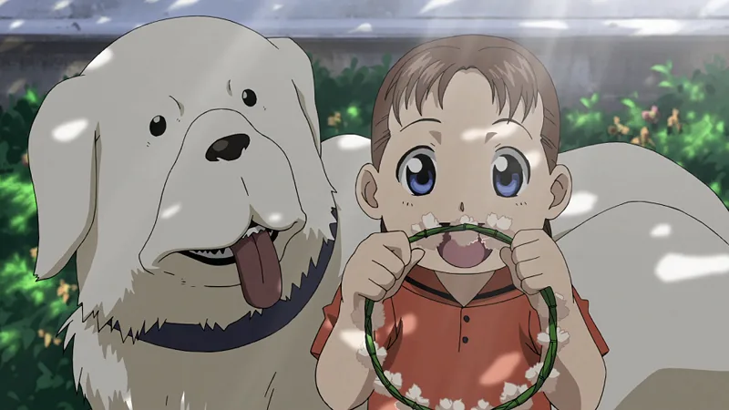Template meme Fullmetal Alchemist Dog and Girl