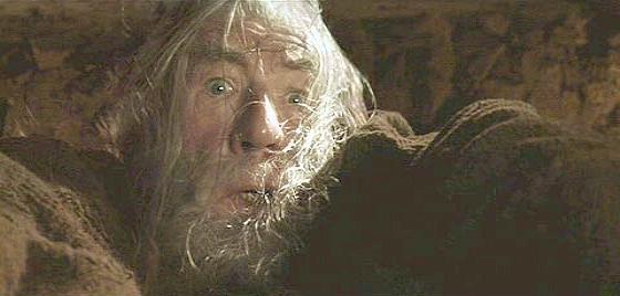 Template meme Gandalf Fly You Fools