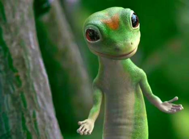 Gecko meme template