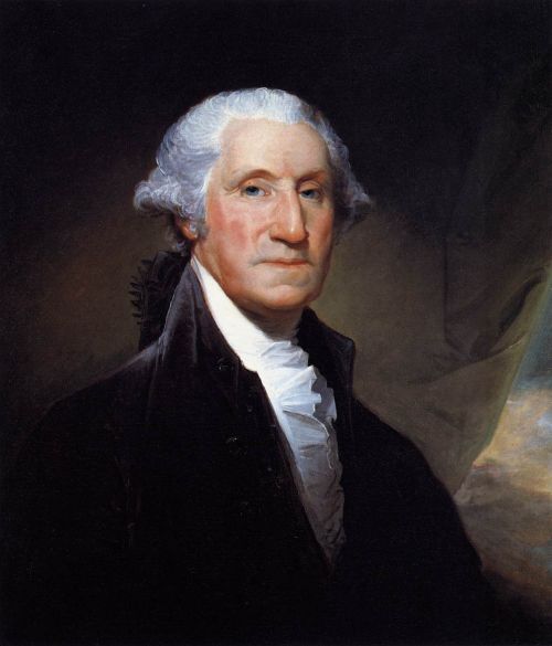 Template meme George Washington