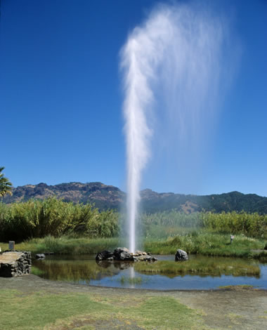 Geyser meme template