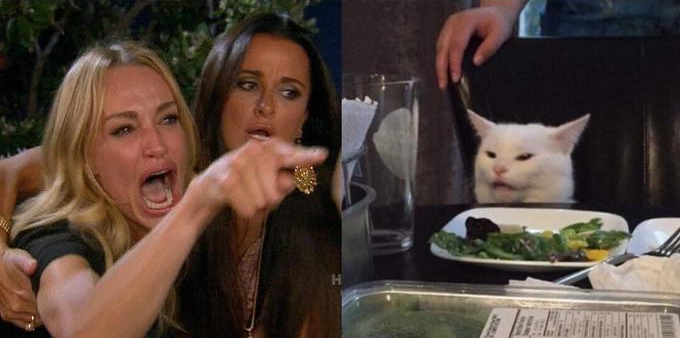 Template meme Girl screaming at cat