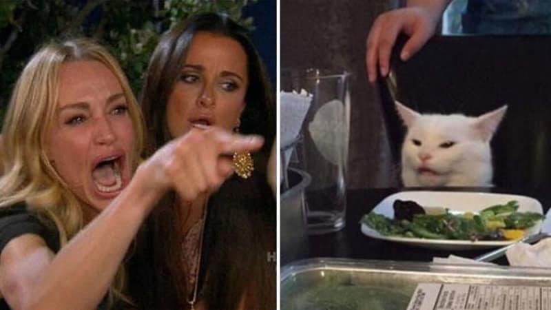 Template meme Girls vs Cat