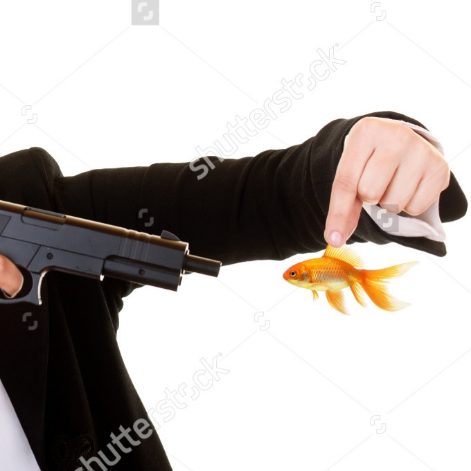 Plantilla de meme Goldfish Gun