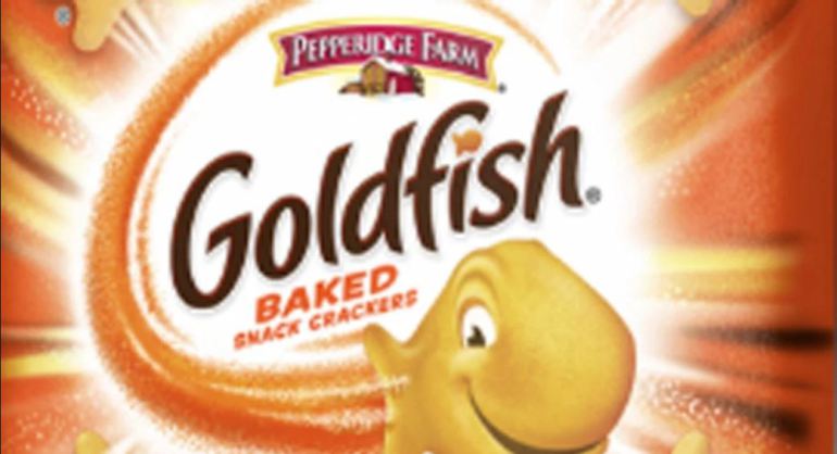 Goldfish now with Salmonella meme template