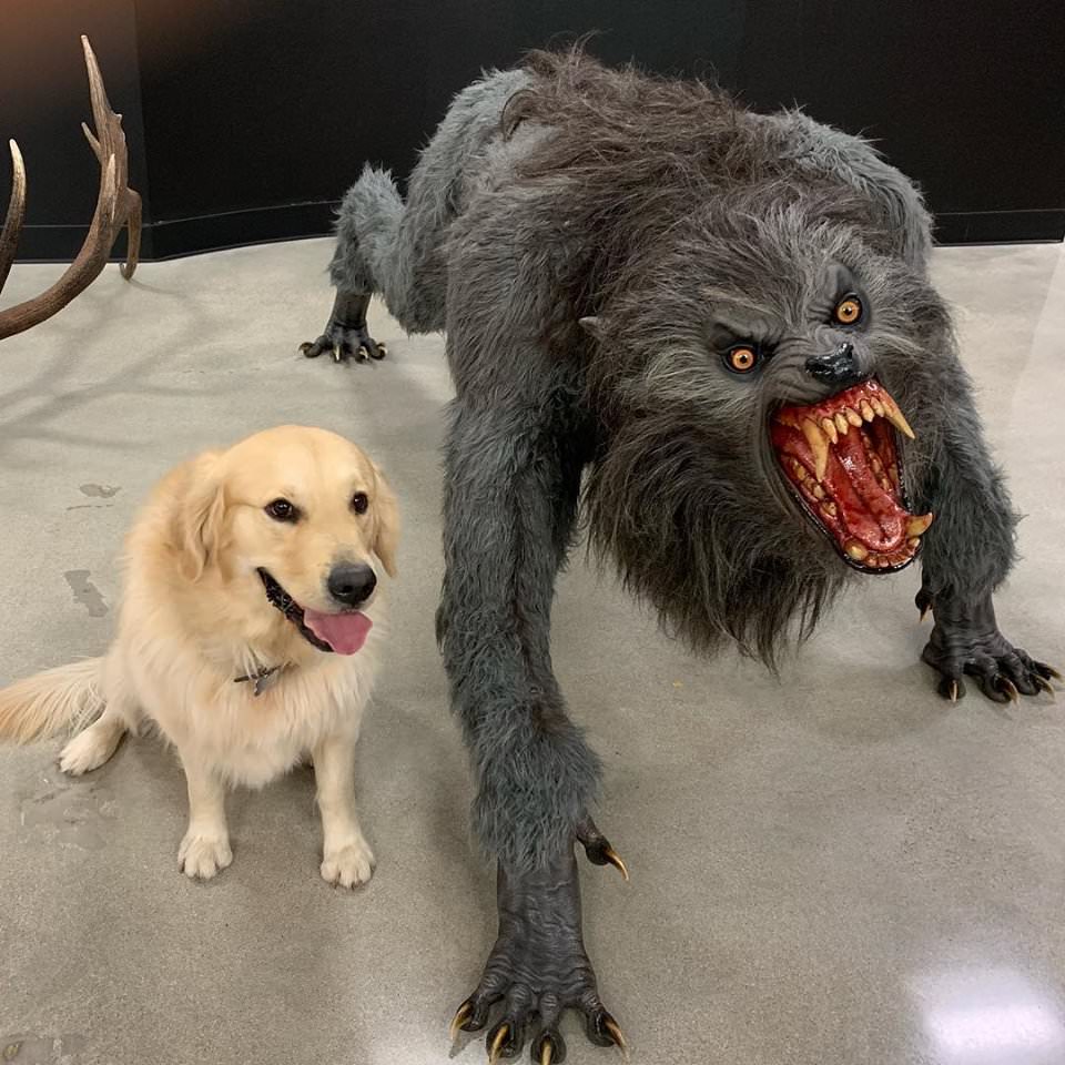 Plantilla de meme Good dog scary dog