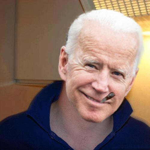 Plantilla de meme Good Guy Biden