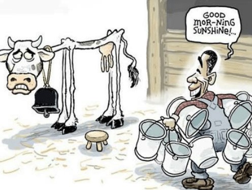 Template meme Good Morning sunshine (cow)