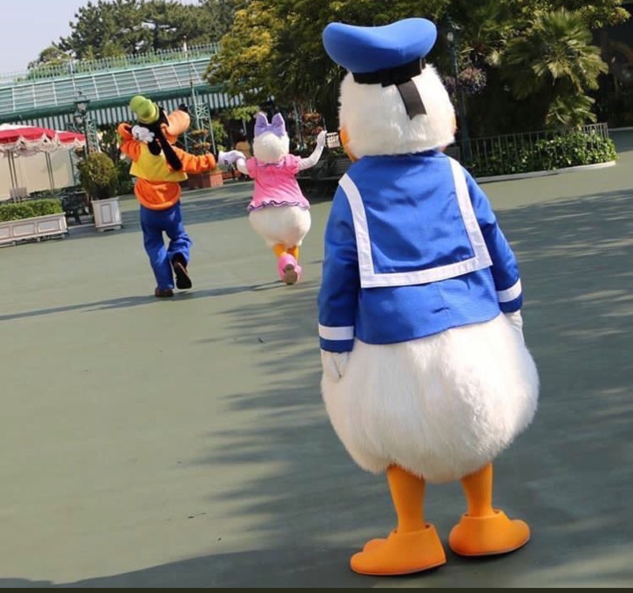 Template meme Goofy, Donald Duck, Daisy Duck