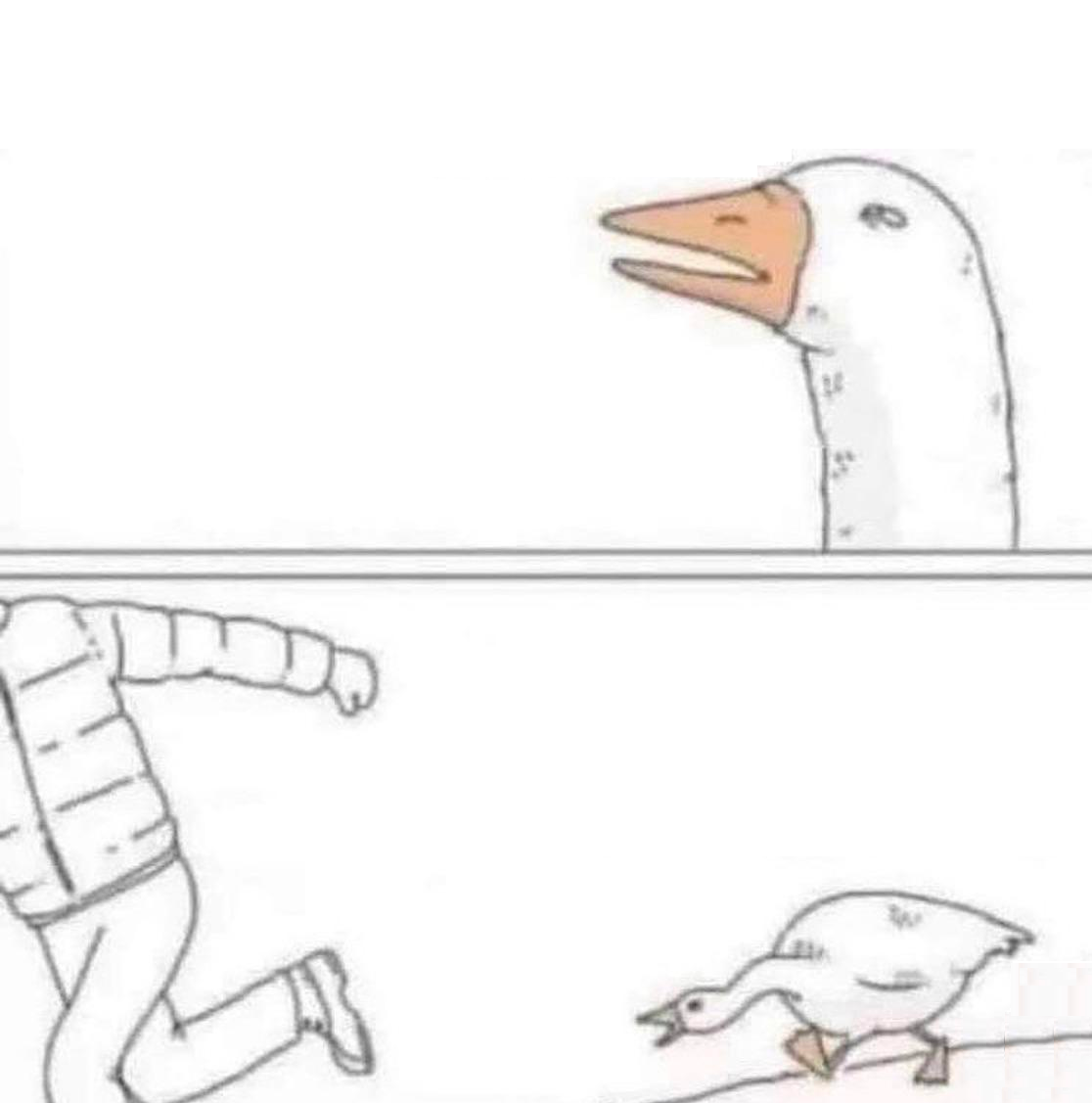 Plantilla de meme Goose Chase