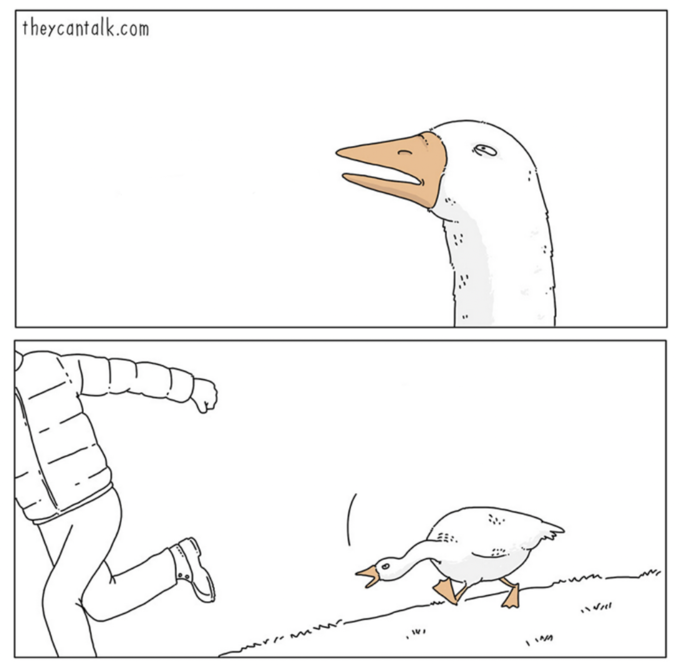 Template meme Goose Chase Meme