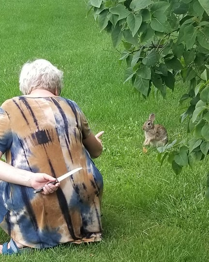 Plantilla de meme grandma hiding knife rabbit